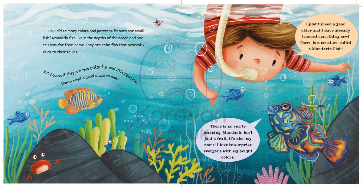 Who is the Best - Children's Book Set