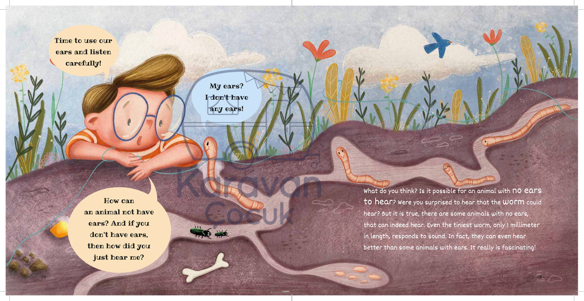 Who is the Best - Children's Book Set
