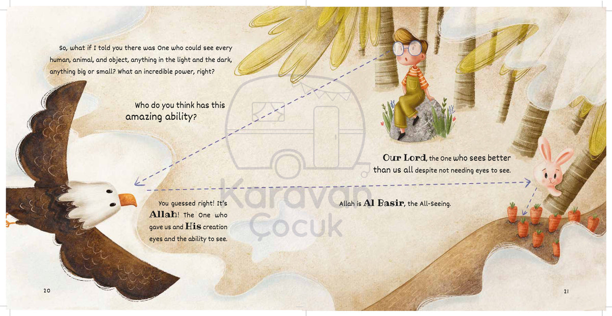 Who Sees the Best? | Islamic Children's Book